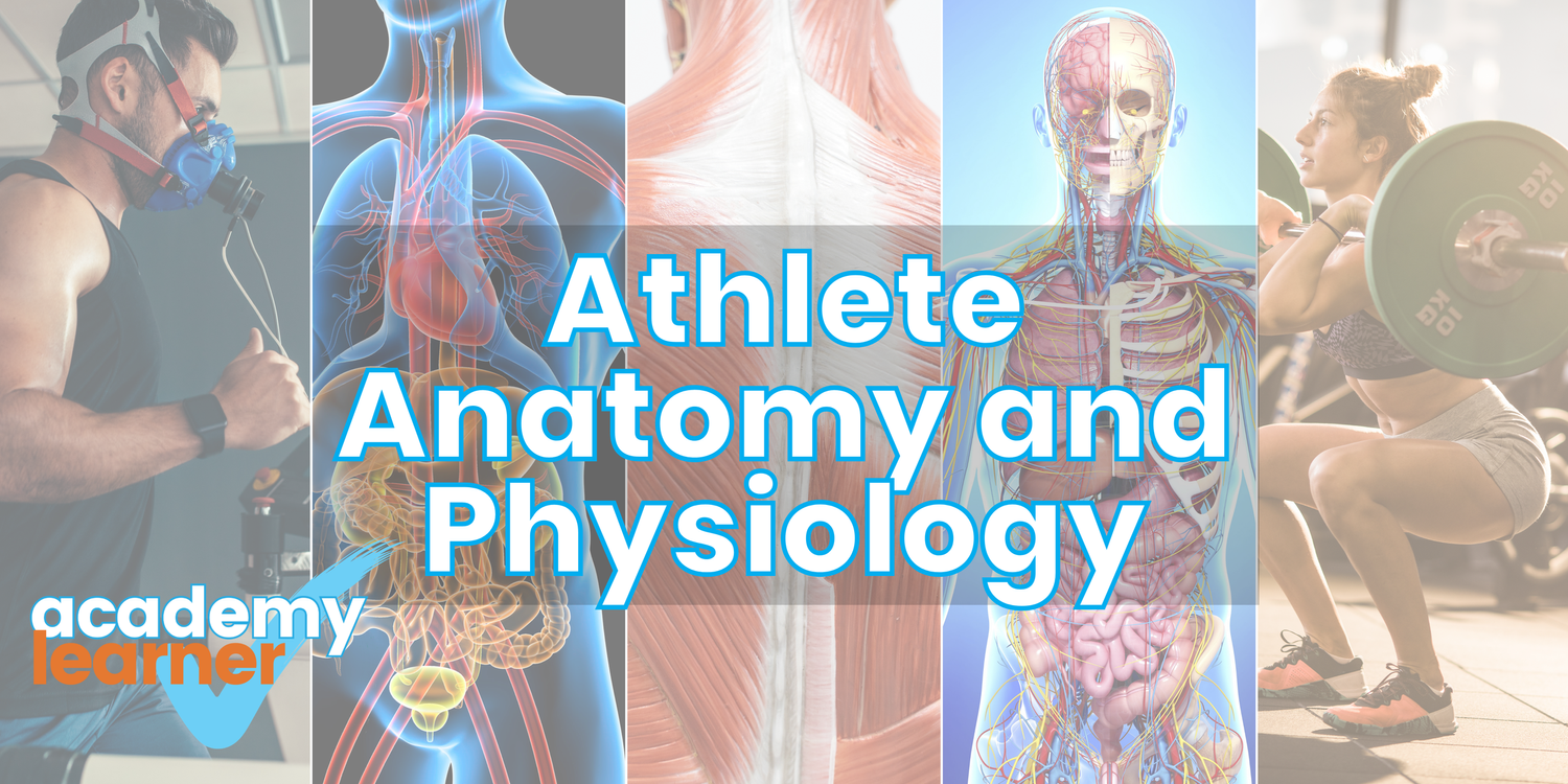 Athlete Anatomy and Physiology